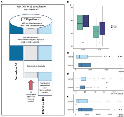 Neuropsychiatric phenotype of post COVID-19 syndrome in non-hospitalized patients